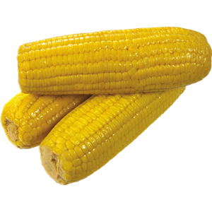 Yellow corn PNG image-5265